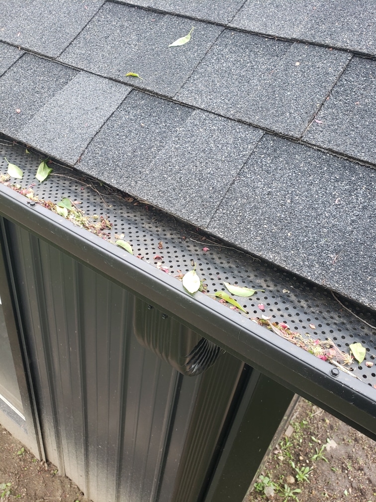 leaf gather up top on the shurflo